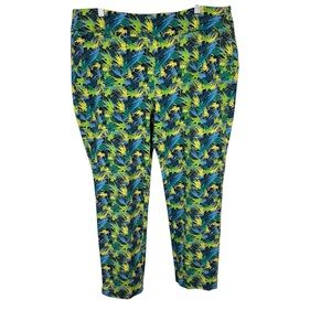 Soft Surroundings 1X Superla Pull On Palmas Artsy Slim Leg Pants Coastal Stretch